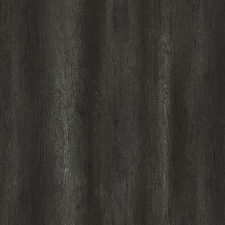 5172 Marshland Eiche